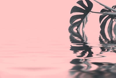 Fotobehang MonsteraLeafWater1 DD119781 A.S. Création ARTist Groen Roze Vlies 270 x 400 cm (4 delen) Fotobehang
