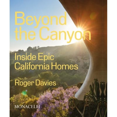 Beyond The Canyon - Roger Davies