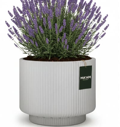 MA'AM Pottery Skye bloempot Japandi grijs - D24xH20 - Moderne luxe ronde plantenbak Scandinavisch - Ronde vaas - Buiten Binnen