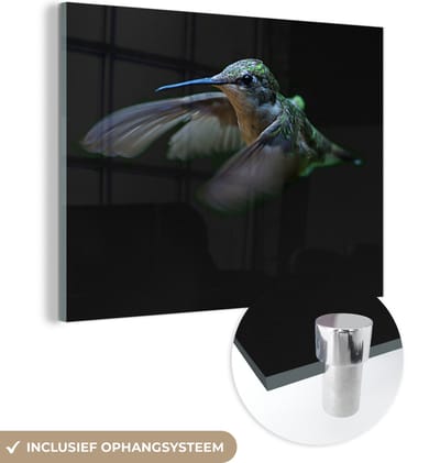 MuchoWow® Glasschilderij 160x120 cm - Schilderij acrylglas - Kolibrie - Vogel - Veren - Zwart - Foto op glas - Schilderijen