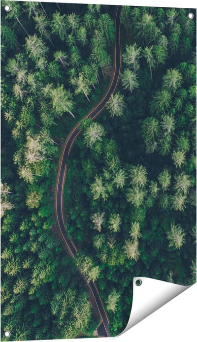 Gards Tuinposter Weg Door Bos met Bomen - Bovenaanzicht - 60x90 cm - Tuindoek - Tuindecoratie - Wanddecoratie buiten - Tuinschilderij