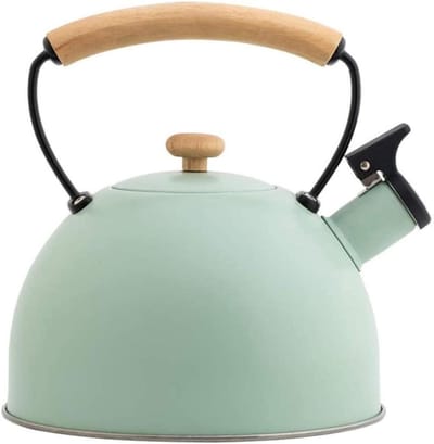 Waterkoker Roestvrij Staal - Fluitketel Kookpan - Water Koken - Schoonmaken Gemakkelijk - 22.30X20.40X20.40cm - Lichtgroen