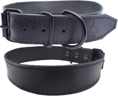 Comfortabele leren hondenhalsband voor kleine, middelgrote en grote honden - Breed en stijlvol