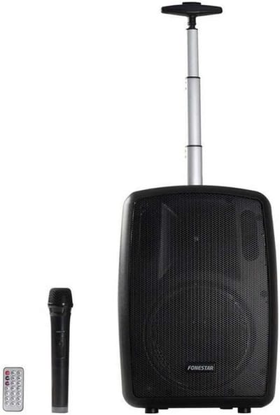 Draagbare Bluetooth Speaker 100W met Microfoon en FM Radio