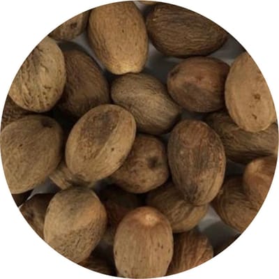 Van Beekum Specerijen - Nootmuskaat Bollen - 20 KG - Zak (bulk verpakking)