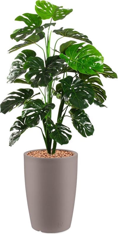 HTT - Kunstplant Monstera in Genesis rond taupe H150 cm