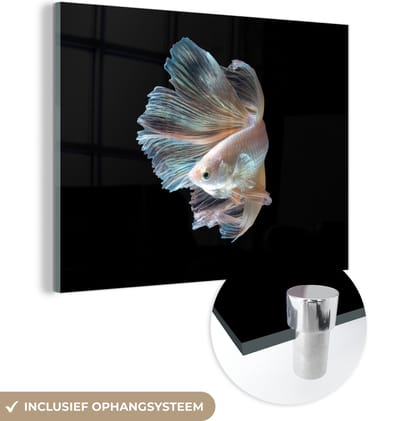 MuchoWow® Glasschilderij 160x120 cm - Schilderij acrylglas - Vis - Staart - Zwart - Foto op glas - Schilderijen