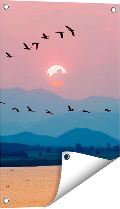 Gards Tuinposter Silhouet van Zwerm Vogels bij Zonsondergang - 40x60 cm - Tuindoek - Tuindecoratie - Wanddecoratie buiten - Tuinschilderij