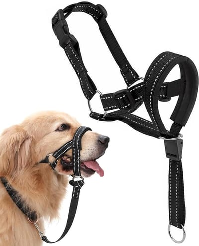 Verstelbare Anti-Trek Hondentuig met Gewatteerde Mondlus voor Grote Honden, Ideaal voor Wandelen, Verzorging en Nagelknippen, Zwart