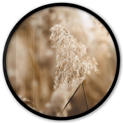 Poster in lijst Rond - Fotolijst 40x40 cm - Posters - Riet - Plant - Natuur - Beige - Ronde posterlijst zwart - Decoratie - Wanddecoratie woonkamer - Muurdecoratie slaapkamer