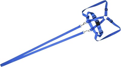 Kinder Tuigje - Anti-verlies Leash - Buiten Avonturen - Verstelbare Banden - Tot 200cm - Blauw
