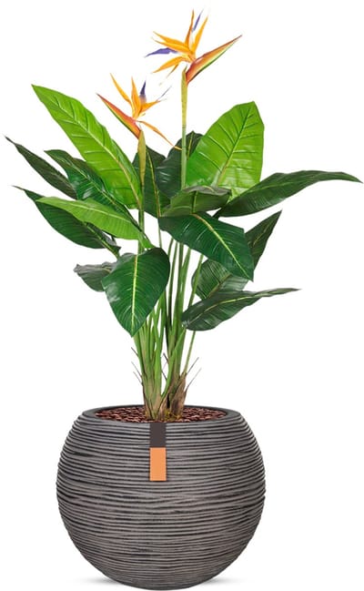 Kunstplant Strelitzia in Vaas bol Rib antraciet H120 cm
