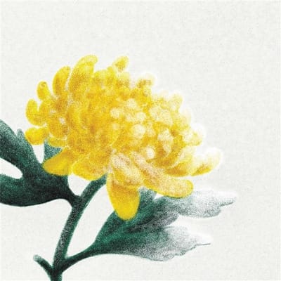 Various Artists - Spring Snow (LP)