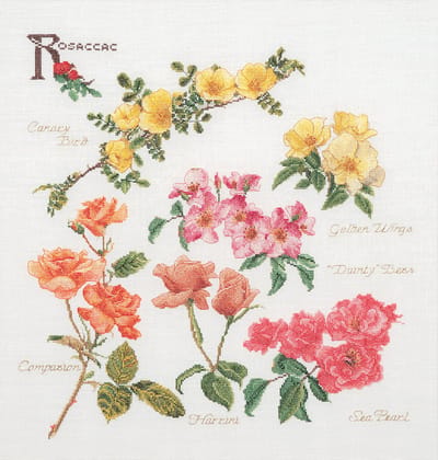 Thea Gouverneur - Borduurpakket met telpatroon - 3066 - Voorgesorteerde DMC Garens - Rozen - Linnen - 44 cm x 46 cm - DIY Kit