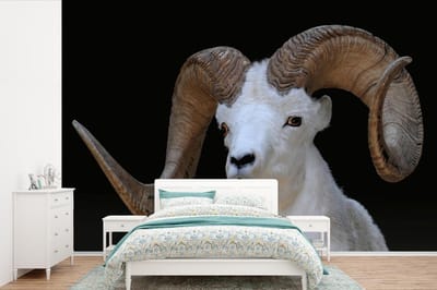 Behang - Fotobehang Bok - Dieren - Hoorn - Breedte 420 cm x hoogte 280 cm