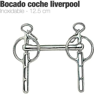 Liverpool bustrens voor paard Zaldi 212559