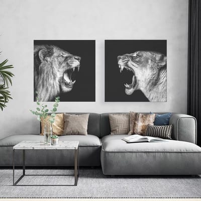 Modern Schilderij Woonkamer - Leeuw en Leeuwin - zwart / wit - tweeluik - 120 x 60 cm | PosterGuru