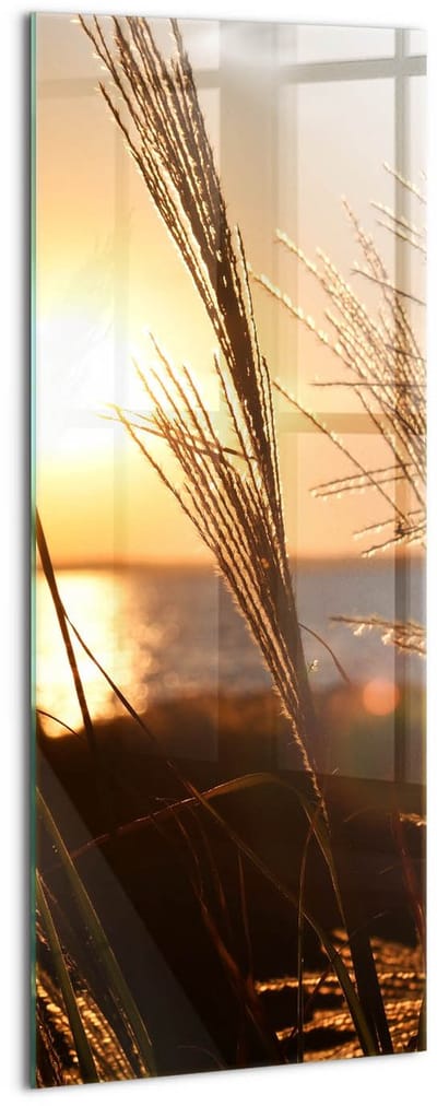 Wallfluent Glasschilderij - Tarwe in het gouden uur Glas Foto - 50x125 cm - Bruin Verticale Muurschildering - Natuur Glazen Schilderij - Foto Op Glas - Foto Schilderij Op Glas