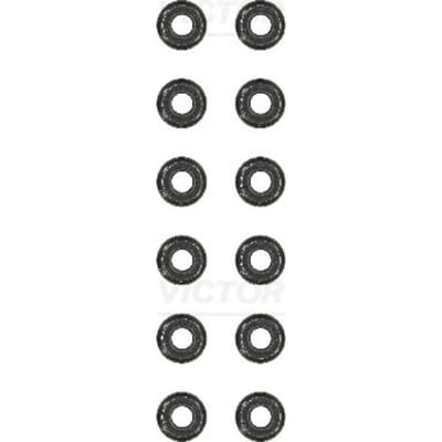Victor Reinz Pakkingset, klepsteel REINZ 12-31306-08