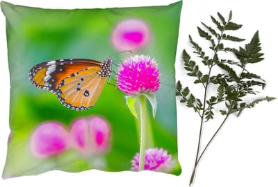 Sierkussens - Kussentjes Woonkamer - 40x40 cm - Landelijk - Vlinder - Distel - Bloem