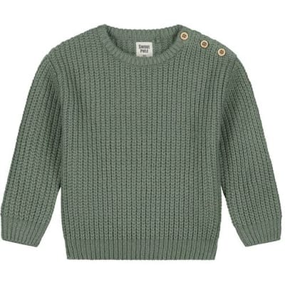 Sweet Petit peuter trui Charlie Dark Sage Green 74 unisex