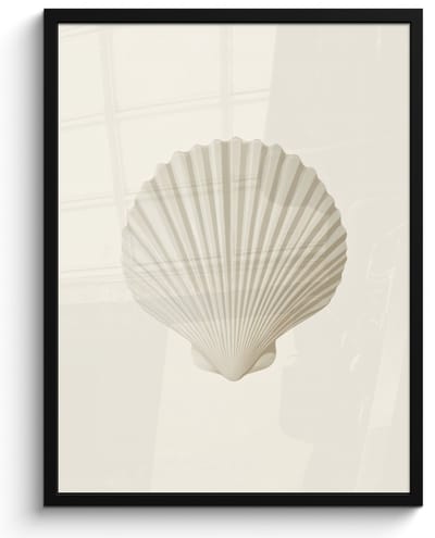 Poster in lijst - Fotolijst 50x70 cm - Posters - Schelp - Minimalistisch - Wit - Posterlijst zwart - Decoratie - Wanddecoratie woonkamer - Muurdecoratie slaapkamer