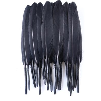 50/100/200 stuks Blauwe Ganzenveren Harde Schacht 4-6inch/10-15cm Echte Natuurlijke Zwanenveer Huis Decoratief Dromenvanger Handwerk 200pieces