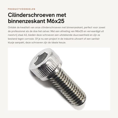 Dailygoods- Cilinderschroeven M6x25 - 20 Stuks - Roestvrij Staal A2 - Binnenzeskant - Hoogwaardige Grondstoffen - Voor Industrie en Doe-het-zelvers - Schroeven