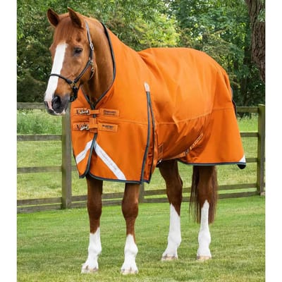 Outdoor paardendeken Premier Equine Buster Hardy 400g