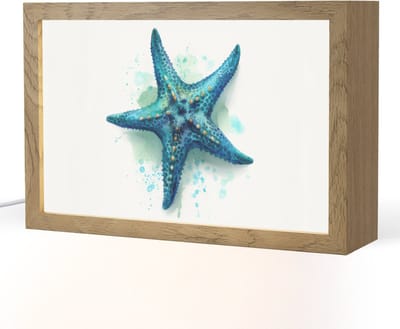 Nachtlampje 30x20 cm - Kinder lampje - Zeester - Blauw - Spetters - Tafellamp kinderkamer - Slaapkamer lamp - Bedlamp kinderen - Kinderlampje stopcontact - Wandlamp babykamer - Nachtlampjes