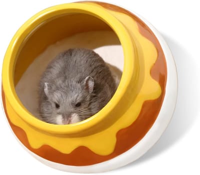 Keramische Zandbak voor Kleine Knaagdieren en Muizen