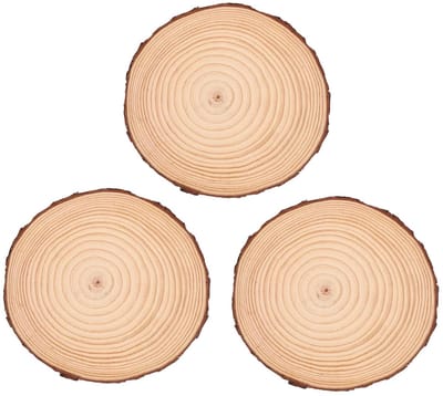 Houten Stapstenen - Tuin Decoratie - Voeten Droog Houden - Duurzaam Hout - 20x20x2 cm - Natuurlijk Hout