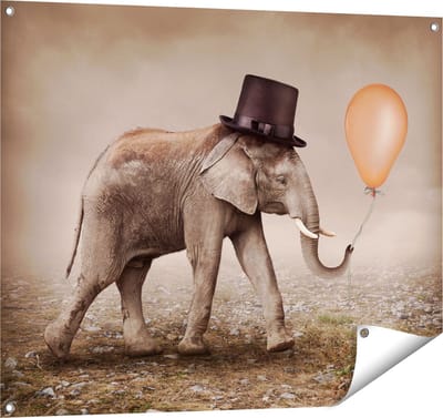 Gards Tuinposter Olifant met een Oranje Ballon - Hoedje - 100x80 cm - Tuindoek - Tuindecoratie - Wanddecoratie buiten - Tuinschilderij