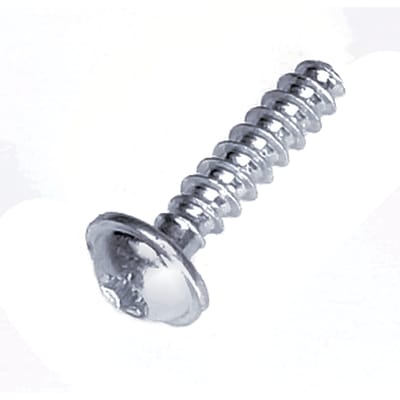 Screw