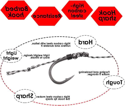 Carpfishing Accessoires - 20 Stuks Haarhaken, Gebogen Karpershaken, Onderlijn en Boilies voor Effectief Karpervissen, Maten 2 4 6 8 (4 Pakketten, Maat 6)