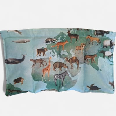verzwaringskussen - verzwaardekussen wereldkaart dieren