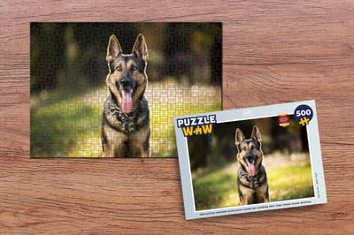 Puzzel Een Duitse Herder glimlacht naar de camera met zijn tong naar buiten - Legpuzzel - Puzzel 500 stukjes