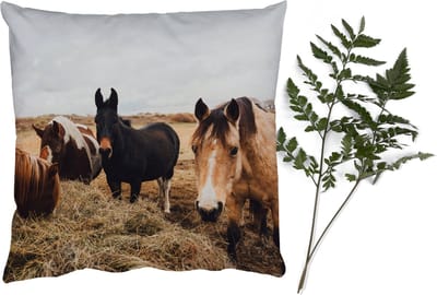Sierkussens - Kussentjes Woonkamer - 40x40 cm - Dieren - Paard - Paarden