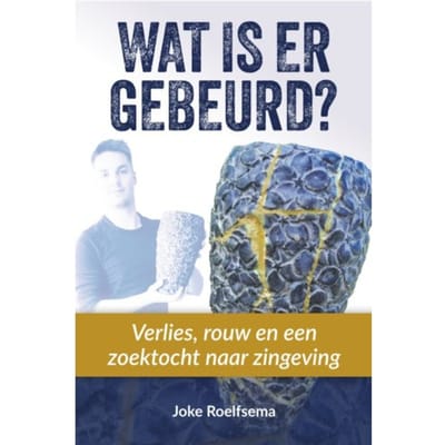 Wat Is Er Gebeurd? - Joke Roelfsema