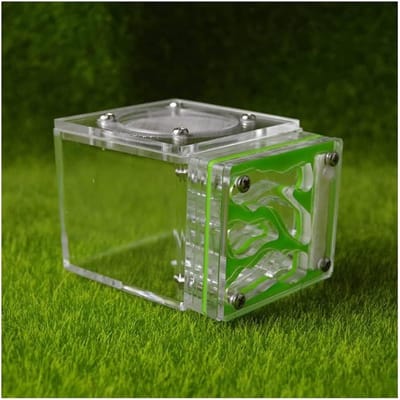 Mierenboerderij Nest - Mierenhabitat Acryl - Educatief Ecosysteem - Handgemaakt Kasteel - 7.7 x 6 x 5.3 cm - Helder Groen