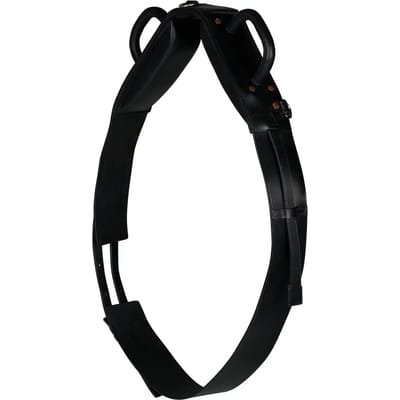 Longe om paard te longeren met longeerkap Horze