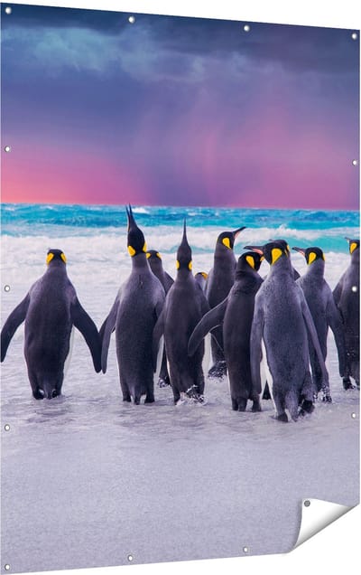 Gards Tuinposter Groep Pingu�ns bij het Water - Kudde - 120x160 cm - Tuindoek - Tuindecoratie - Wanddecoratie buiten - Tuinschilderij