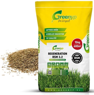 Graszaad Snelkiemend - Gazon Reparatie - Nieuw Gazon Maken - 100% Geselecteerd Zaad - 15 kg 600 m2