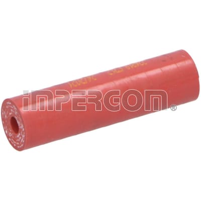 Pijpleiding, EGR klep IMPERGOM 224819