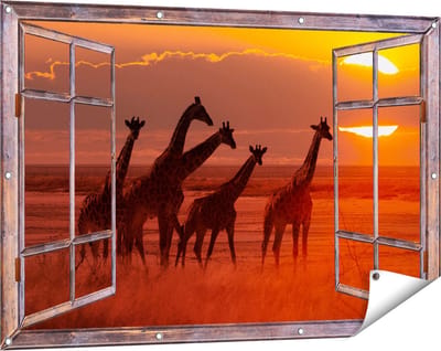 Gards Tuinposter Doorkijk Giraffe Kudde bij Zonsondergang - 120x80 cm - Tuindoek - Tuindecoratie - Wanddecoratie buiten - Tuinschilderij