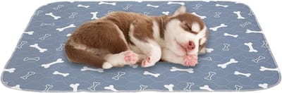 Hernieuwbare en Waterdichte Training Pads voor Honden, Hygiënische Matten voor Reizen, Geschikt voor Puppy’s en Volwassen Honden - Grijs - M - Vierkant