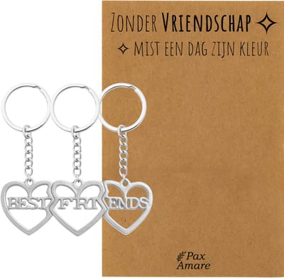 BFF Sleutelhanger voor 3 'Zonder Vriendschap mist een dag zijn kleur' - 3 hartjes - Sleutelhanger set op Cadeau Kaartje - Zilverkleurig - Vriendschap Symbool - Pax Amare