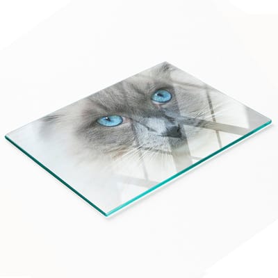 Decoratieve snijplank van gehard glas met kattenogen (80x52 cm)