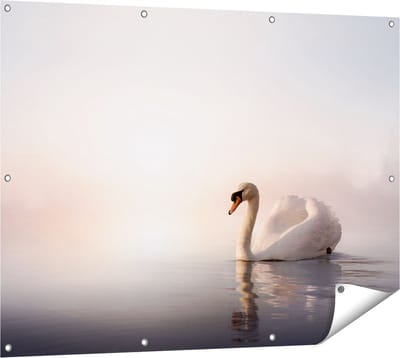 Gards Tuinposter Zwaan in het Water tijdens de Mist - 120x90 cm - Tuindoek - Tuindecoratie - Wanddecoratie buiten - Tuinschilderij