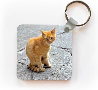 Sleutelhanger - Uitdeelcadeautjes - Kat - Rood - Straat - Meisjes - Kinderen - Jongens - Kindje - Plastic